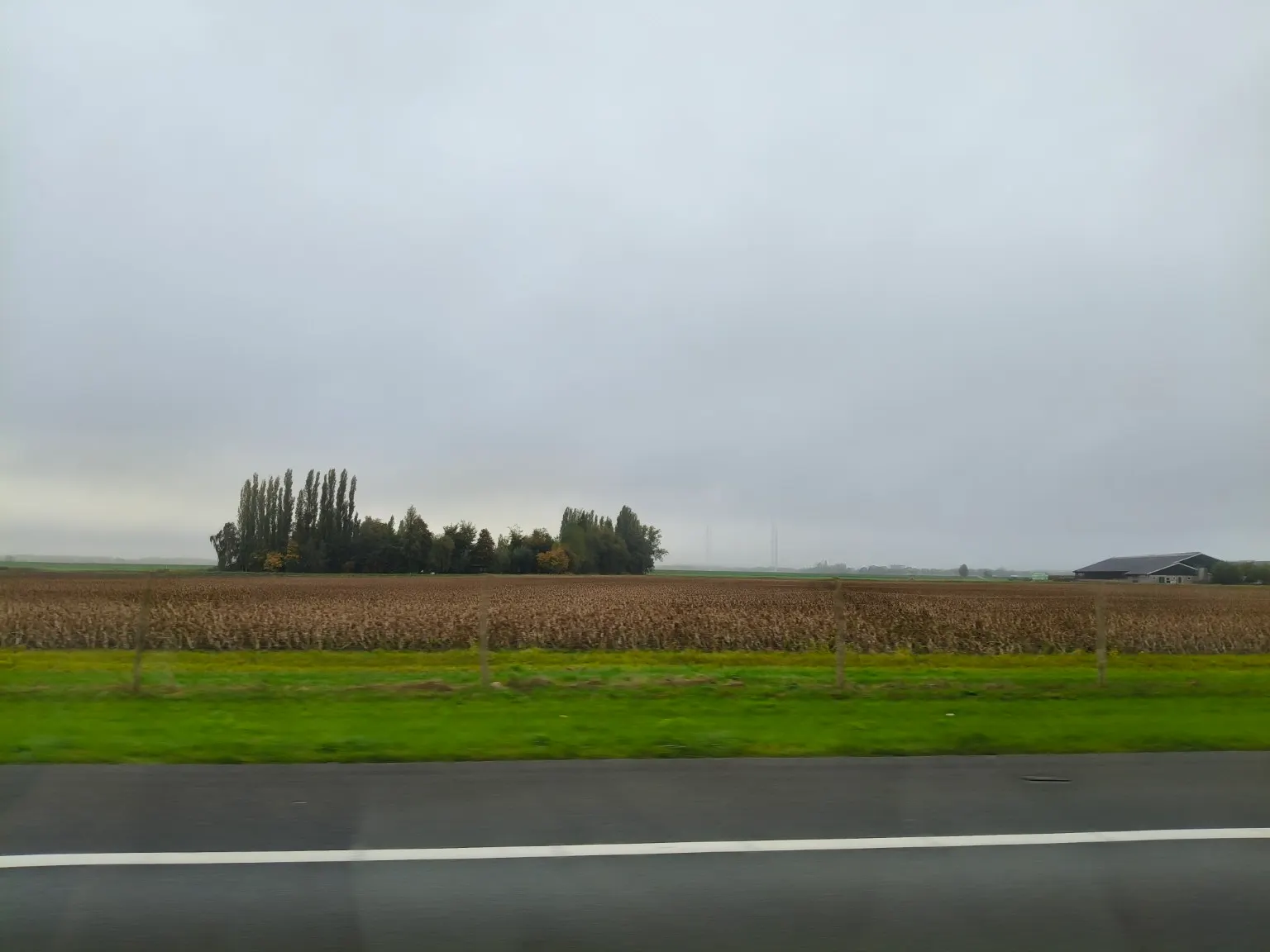 Mist boven de velden